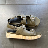 Leja Olive