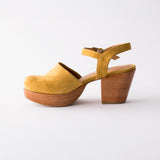 Willow Amber